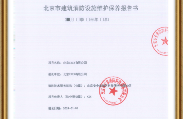 消检报告