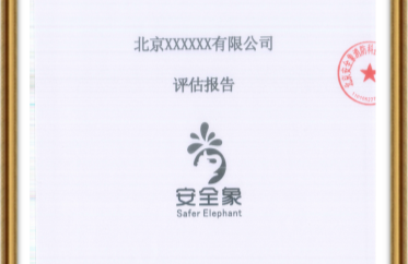 评估报告