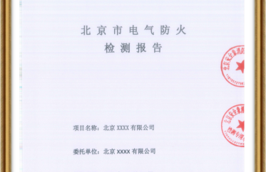 电检报告